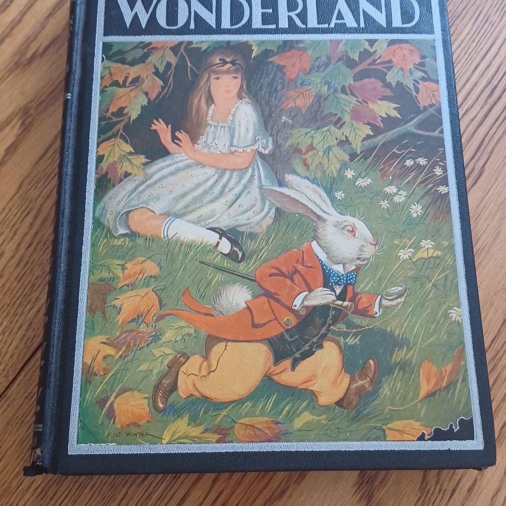Vintage Wonderland Book with Illustrated Cover